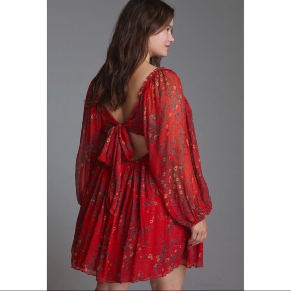 Gorgeous Anthropologie dress - Picture 3 of 7